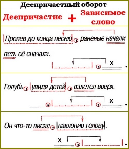 Деепричастный оборот – примеры предложений: как его найти и где употребляется | tvercult.ru