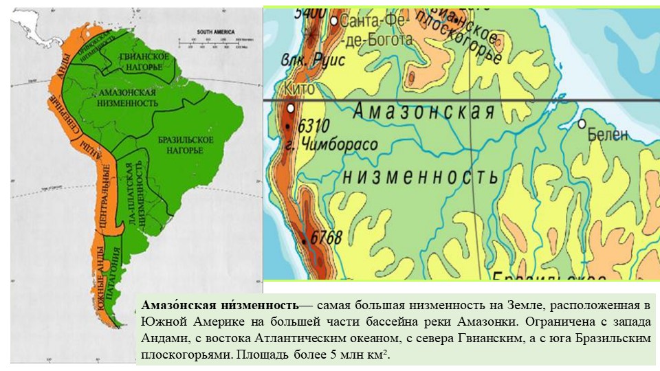 Низменность амазонская: географическое положение, описание, рельеф, высота :: syl.ru