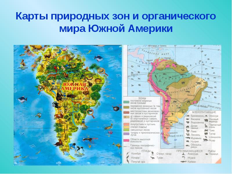 Южная америка — особенности географического положения и общая характеристика материка