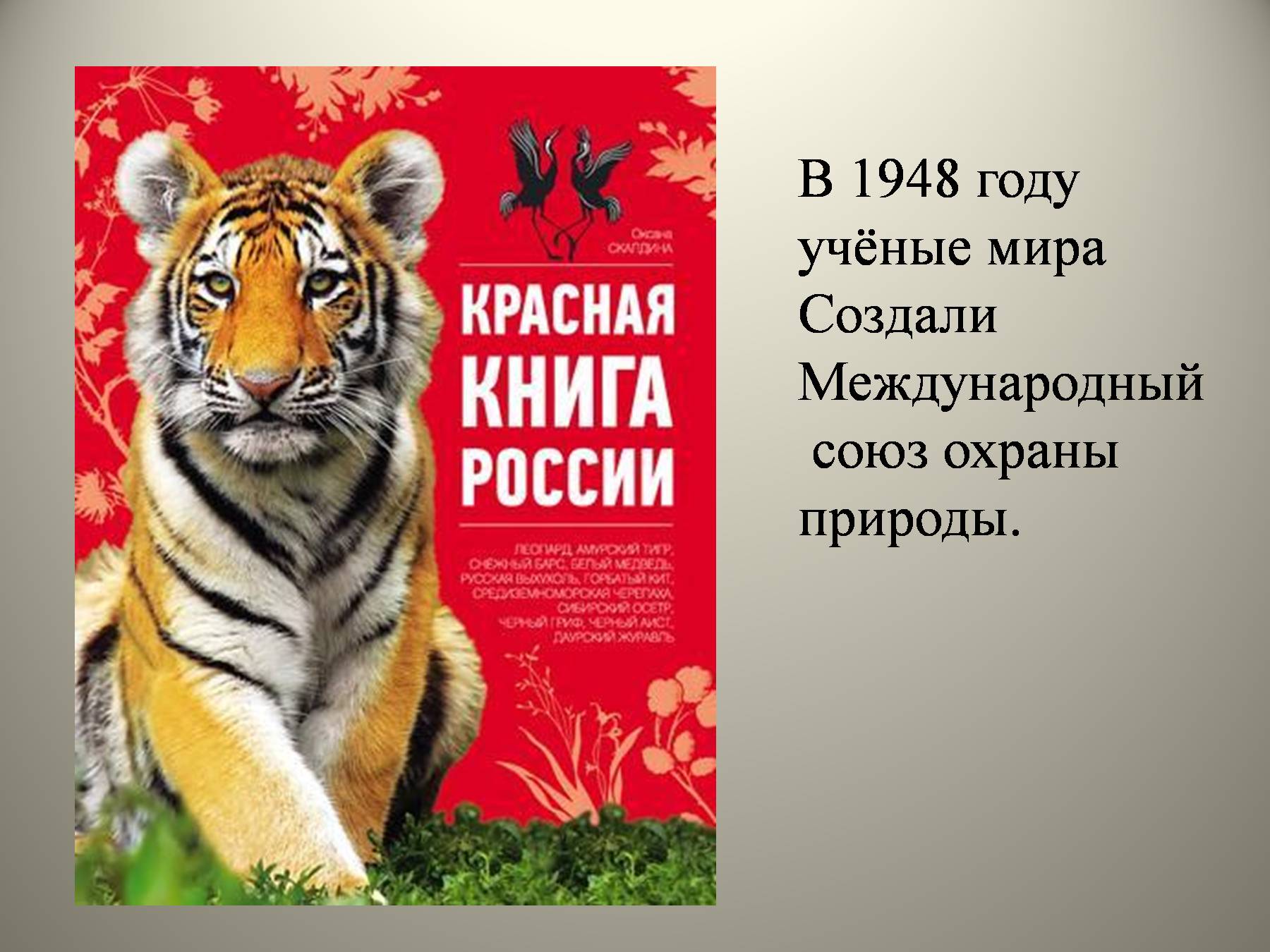Животные красной книги россии | животный мир