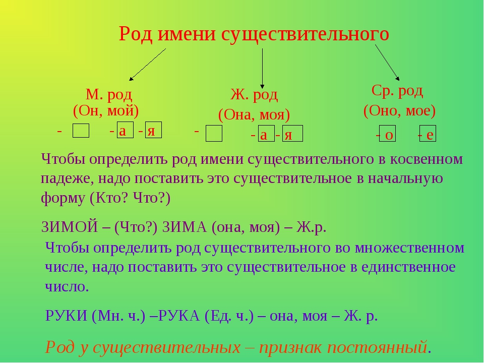 Для чего приходит в род. Как определить род имен существительных. Как определить род у существительных. Правила определения рода существительных в русском. Как определить существительное.
