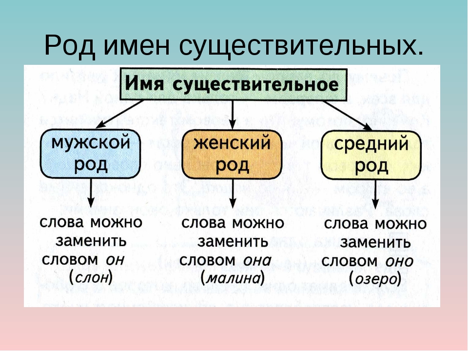 Мужской род русский язык 3 класс