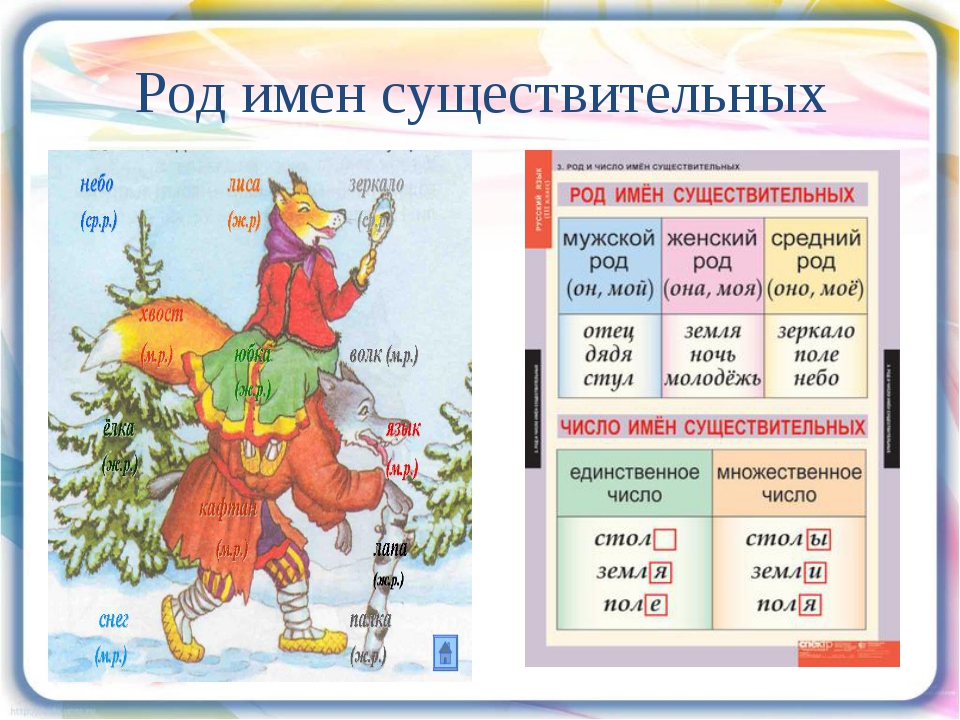 Окончания родов существительных 3 класс. Крот имен существительных. Род имен существительных. Род имён существитальных. Русский язык род имен существительных.