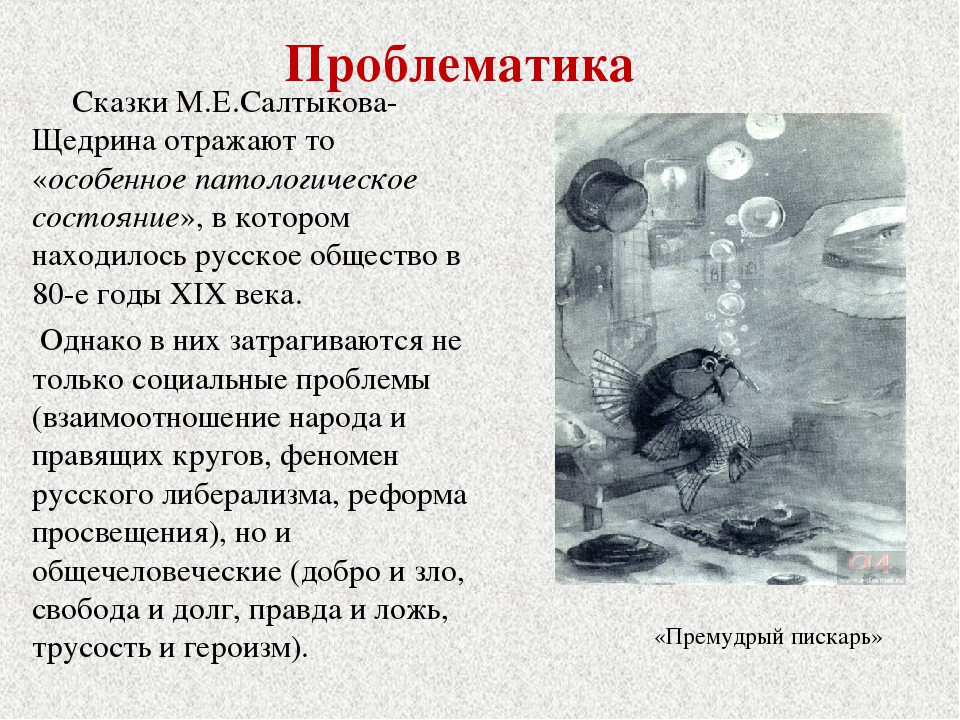 Дурак  — краткое содержание сказки салтыкова-щедрина