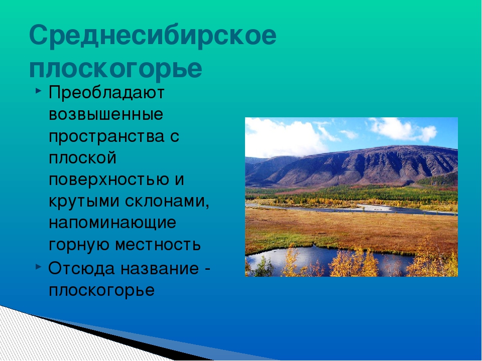 Какая форма рельефа соответствует среднесибирское. Средне себирсуое плоскогорбе. Среднесибирское плоскогорье и Сибирское. Сельское хозяйство в Среднесибирском плоскогорье. Среднесибирское плоскогорье равнина.