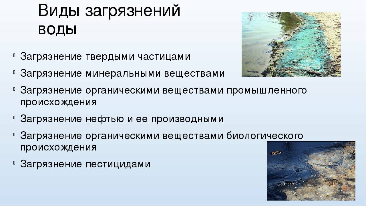 Урок 1: водоём и его обитатели - 100urokov.ru