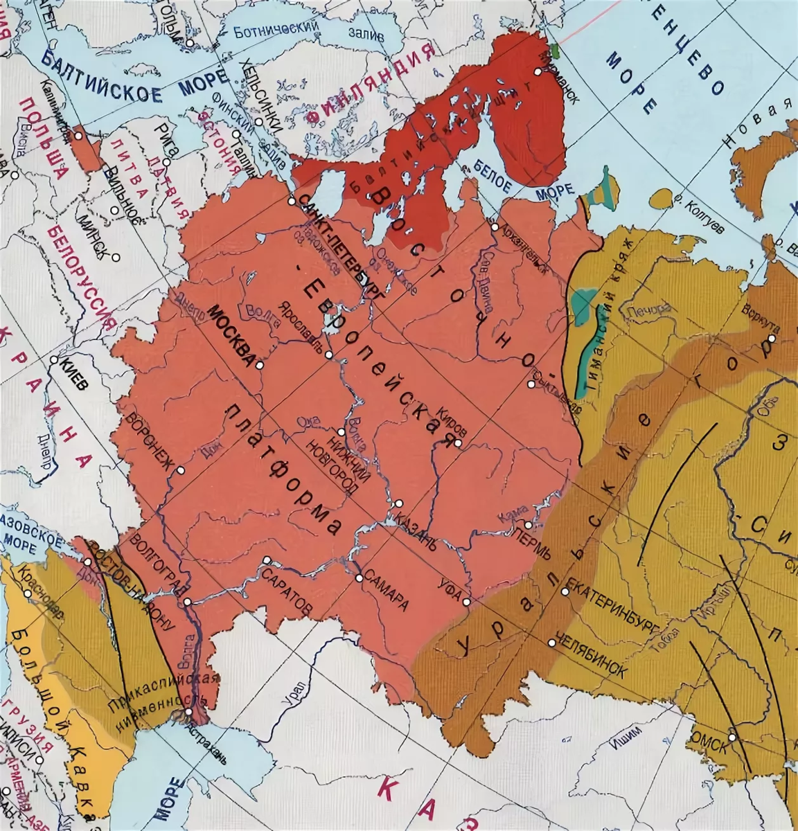 Восточно европейская равнина древние платформы