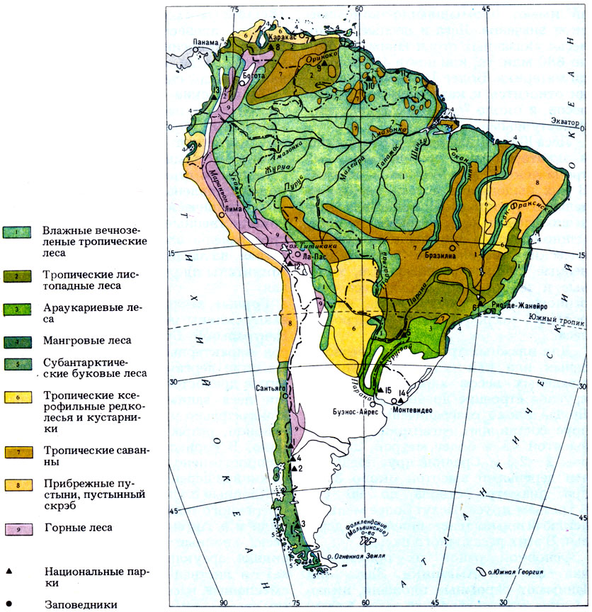 Природные зоны южной америки: таблица :: syl.ru