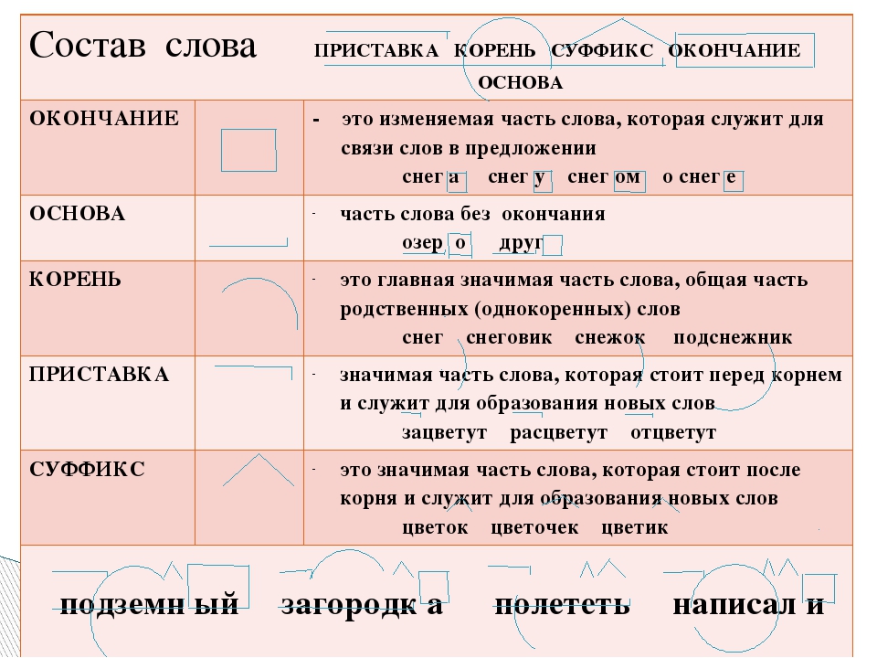 Правописание флеш карта