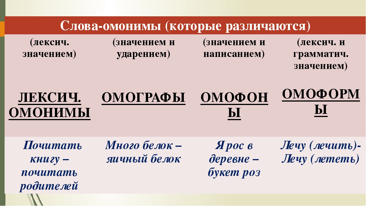 Что такое слова омонимы в русском языке? правила и примеры