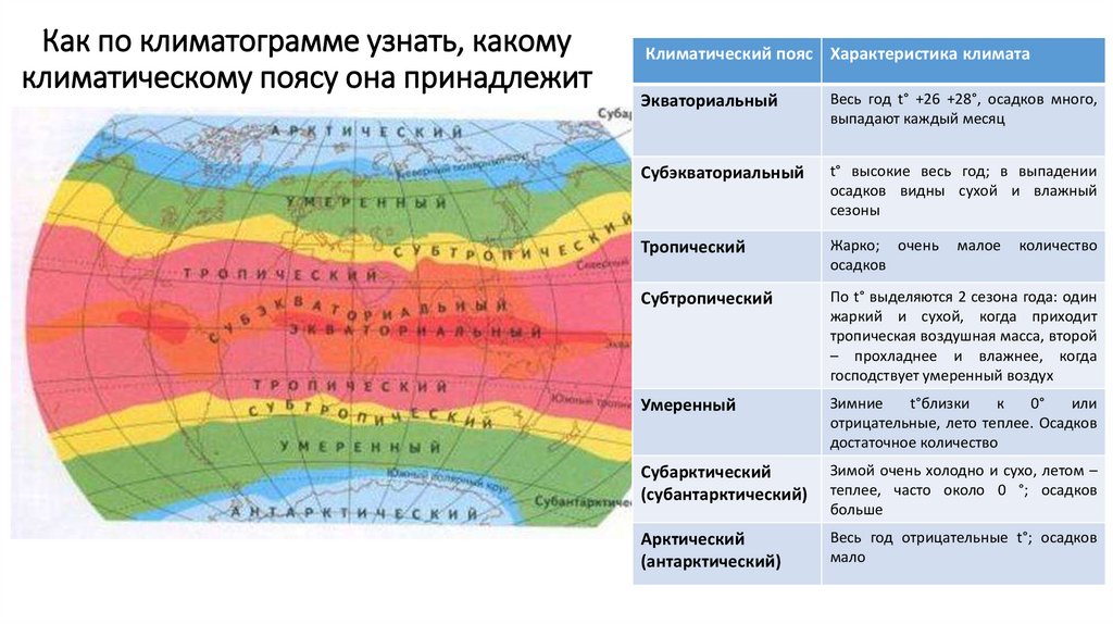 Климатические пояса евразии - описание, особенности и интересные факты :: syl.ru