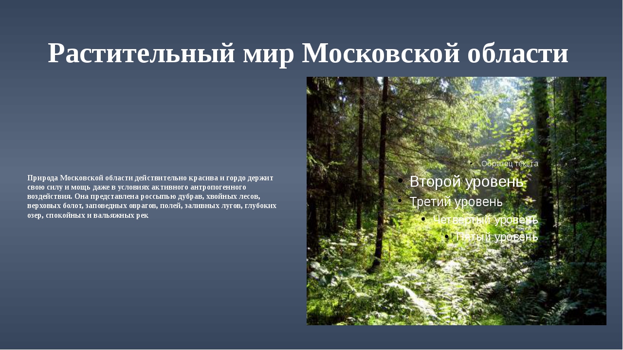 Переходные природные зоны россии (4 класс), зона лесостепей как промежуточная