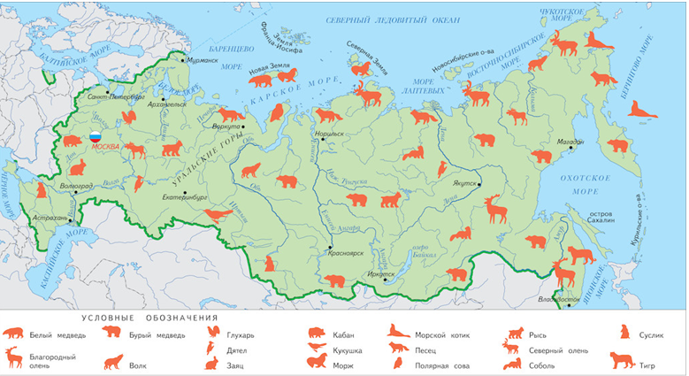 Характеристика и положение природных зон, почв россии на карте мира