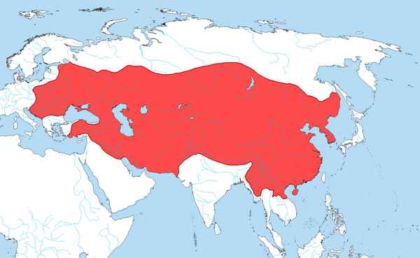 История монгольской империи: завоевания и факторы распада