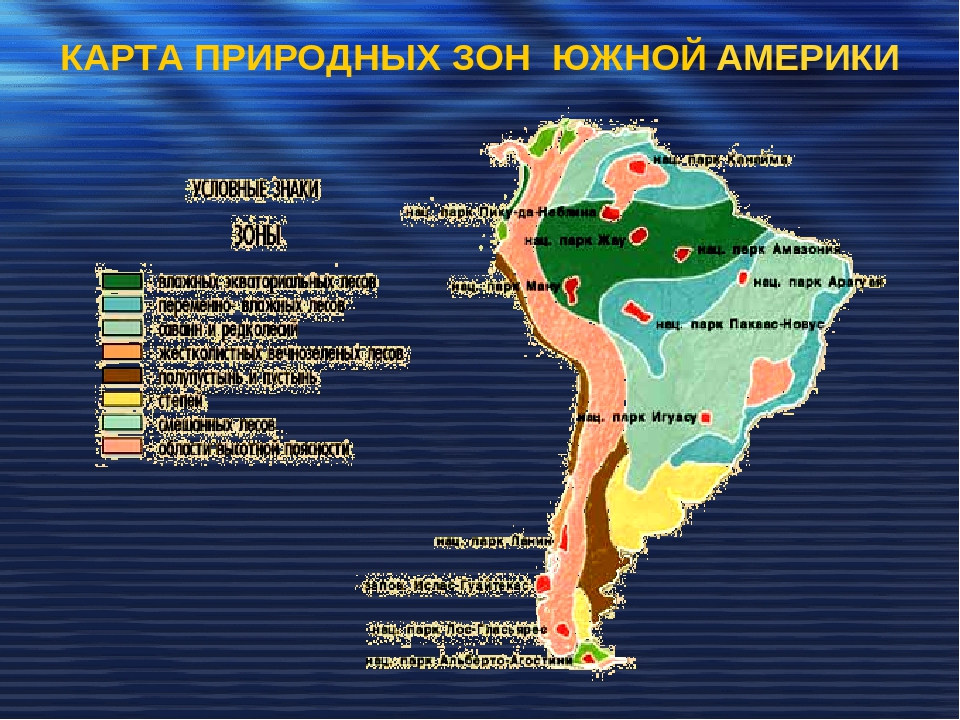 Таблица природных зон южной америки. характеристика и описание / справочник :: бингоскул