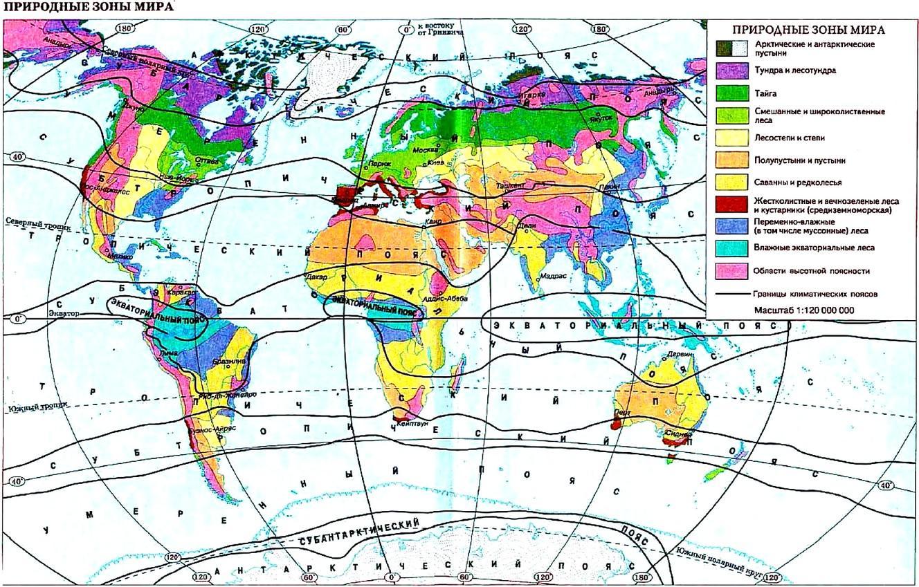 Климатические пояса земли: таблица осадков, характеристика и разновидности - tarologiay.ru