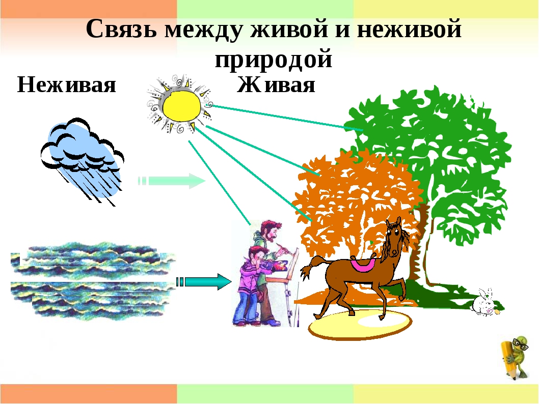 Неживая природа - это... определение, особенности и отзывы - gkd.ru