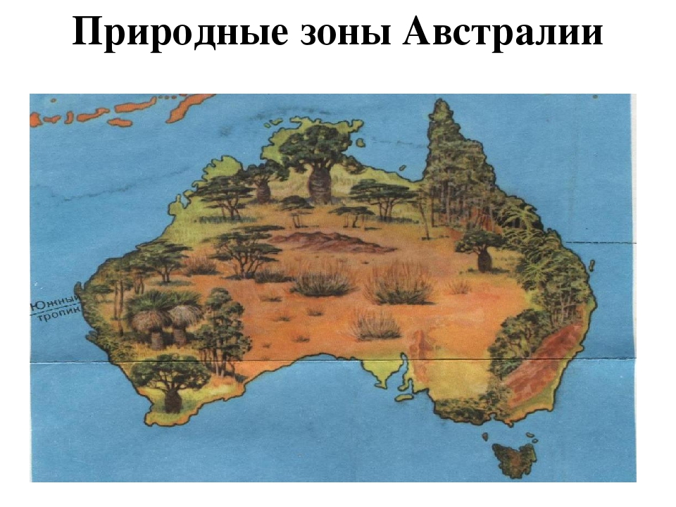 3 природные зоны австралии