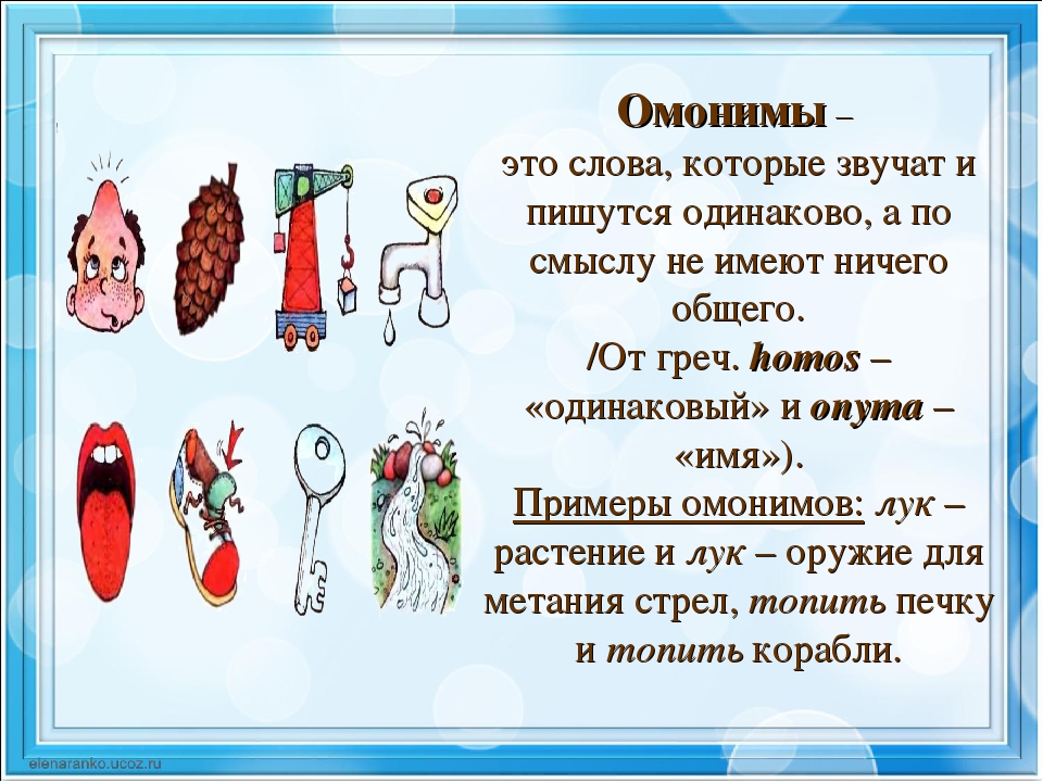 Омонимы, омоформы, омографы, омофоны | русский язык