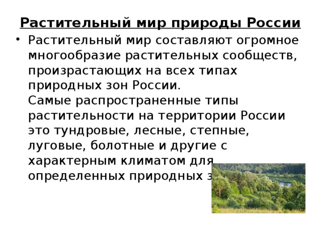 Пояса и природные зоны росии: типы климатов и разновидности растений и животных | tvercult.ru