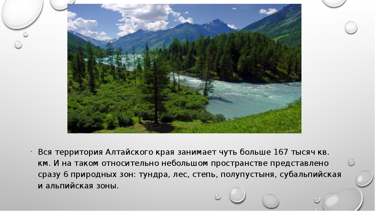 Природные зоны россии: карта, описание, климат, почвы, животные, растения и таблица