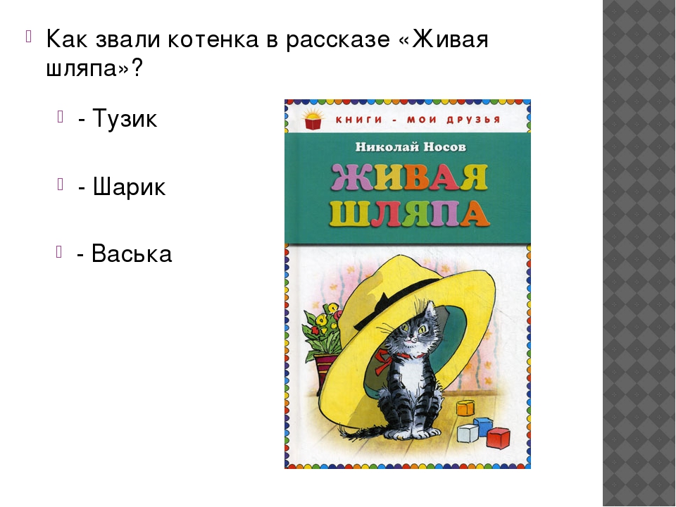 Презентация викторина по рассказам носова с ответами 2 класс