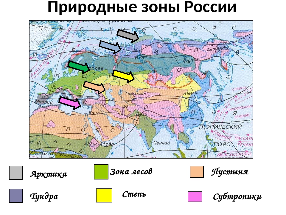 Конспект "территория и границы россии" - учительpro
