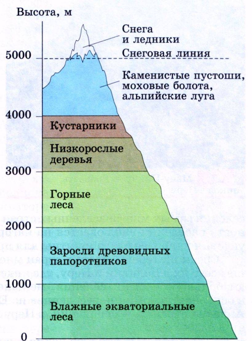 Природные зоны мира: краткая характеристика. таблица "природные зоны мира" :: syl.ru