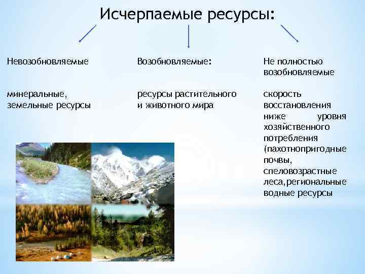 Глава 3. экологические принципы рационального использования природных ресурсов и охраны природы