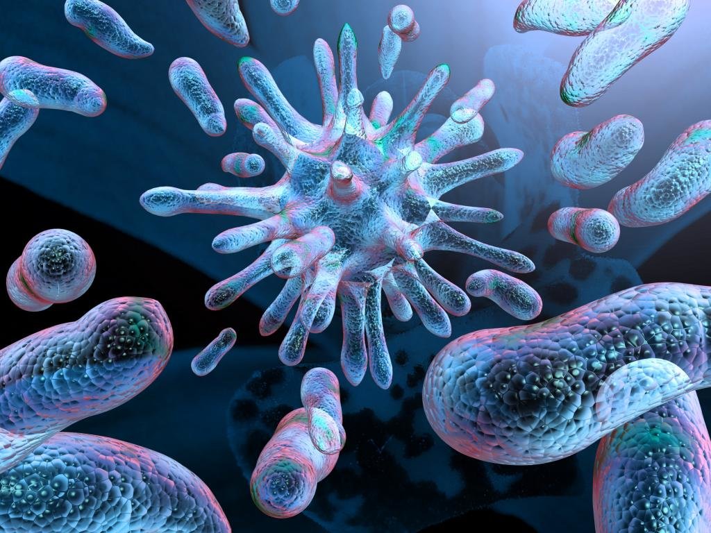 Типы питания микроорганизмов и основные ферменты бактерий