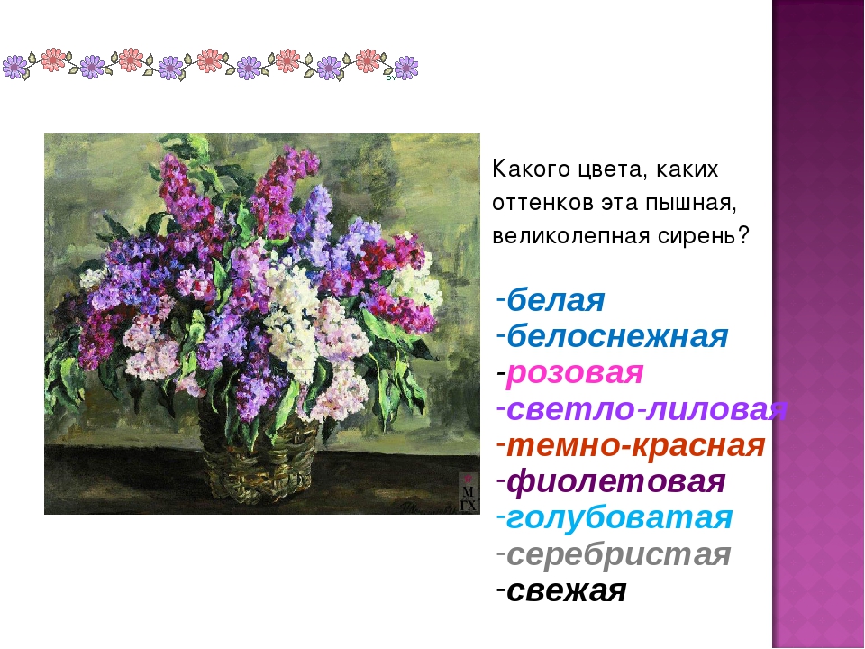 Сочинение по картине кончаловского «сирень в корзине», 5 класс