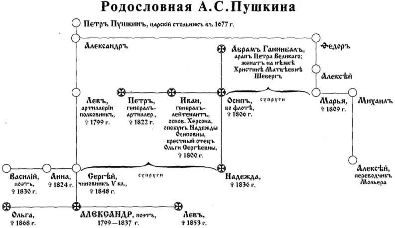Родители александра пушкина, биографии членов семьи