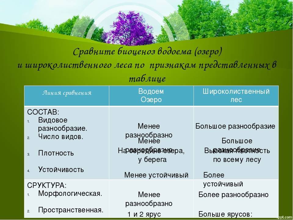 Биология 7 класс типы растительных сообществ таблица. Пространственная структура биоценоза пруд. Растения растительного сообще. Характеристика биоценоза леса. Характеристика экосистемы.