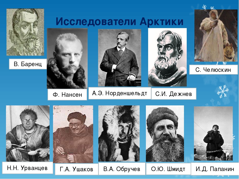 Пионерами русских исследований европейского севера россии были: первые исследователи арктики