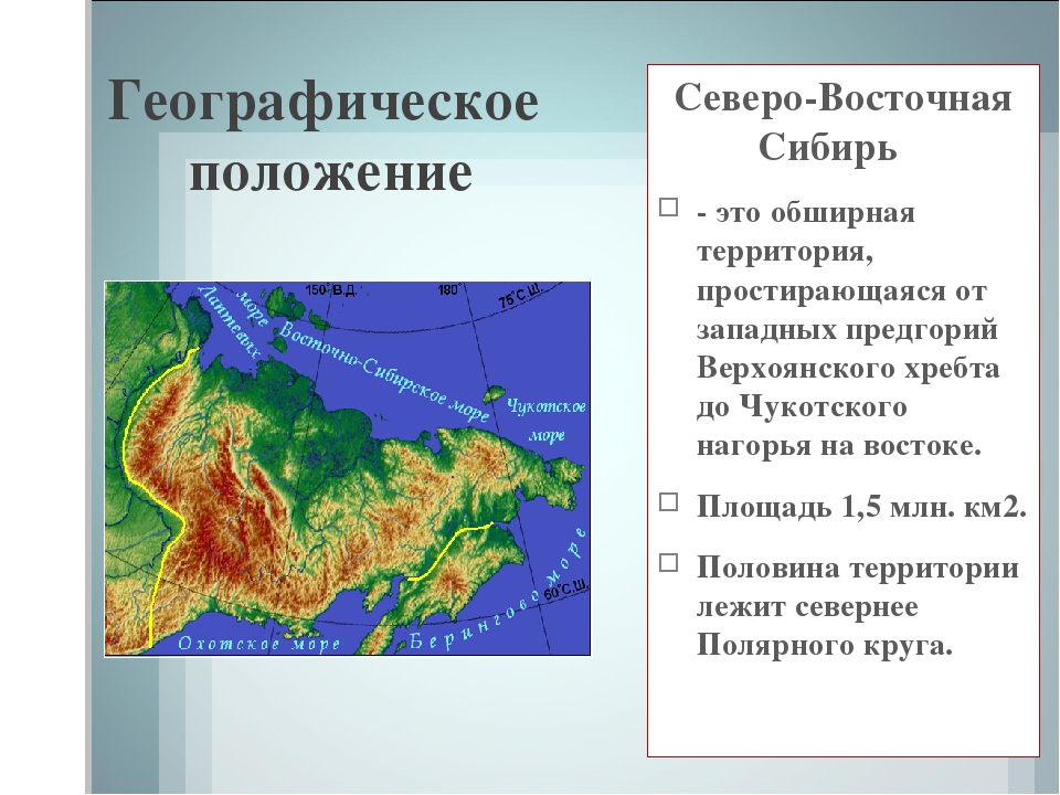 Тайга - географическое положение, животный и растительный мир, особенности и характеристика природной зоны. особенности климата в тайге россии в разное время года