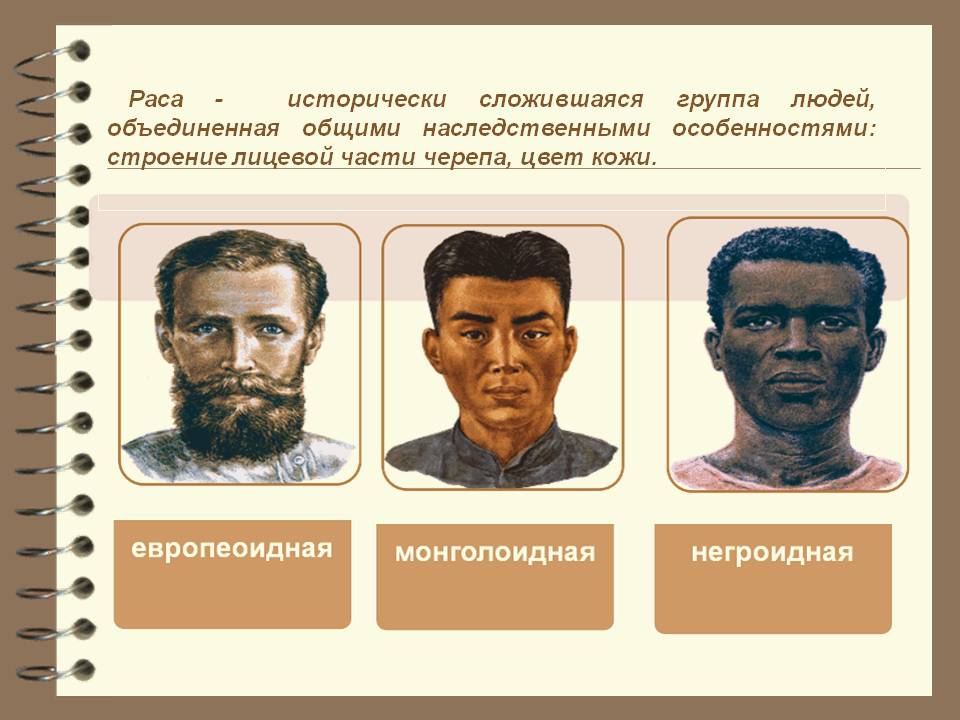 Выделяют основные расы. Европеоидная монголоидная негроидная раса таблица. Представители человеческих рас. Основные расы человечества.