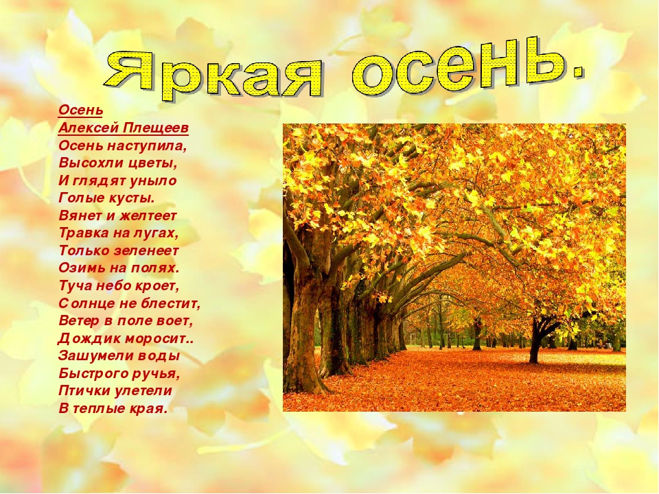 Стихи про осень для детей 5 лет | детские стихи
