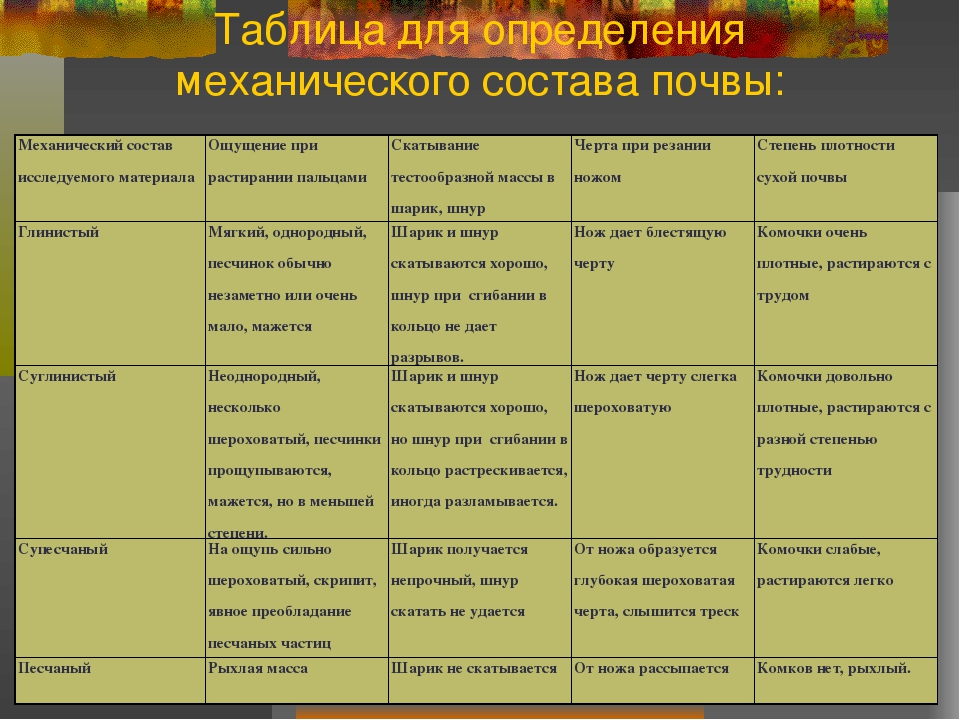 Технологическая карта почва 6 класс география