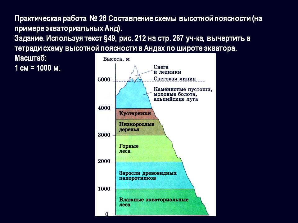 Чем отличается широтная зональность от высотной поясности: примеры, что это такое, закон, почвы области | tvercult.ru