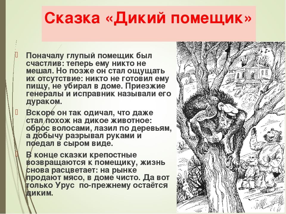 Анализ сказки «богатырь» м.е. салтыкова-щедрина