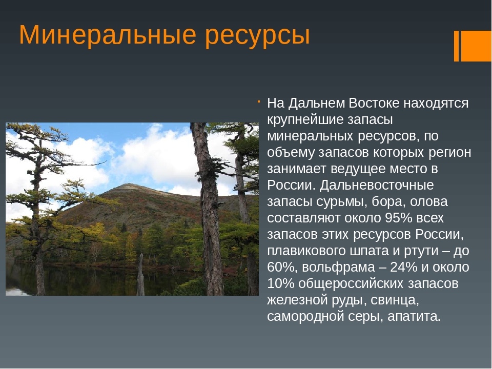 Дальний восток россии. курсовая работа (т). экология. 2014-10-03