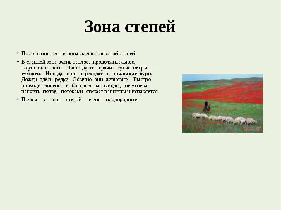 Сообщение о степи. Степная зона окружающий мир 4 класс. Зона степей 4 класс окружающий мир. План по окружающему зона степи. Проект на тему зона степей.