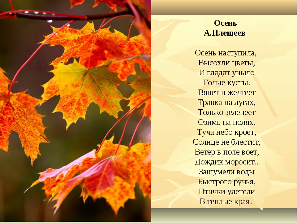 Стихи про осень для детей 7-8-9 лет. стихи для 1-3 класса.