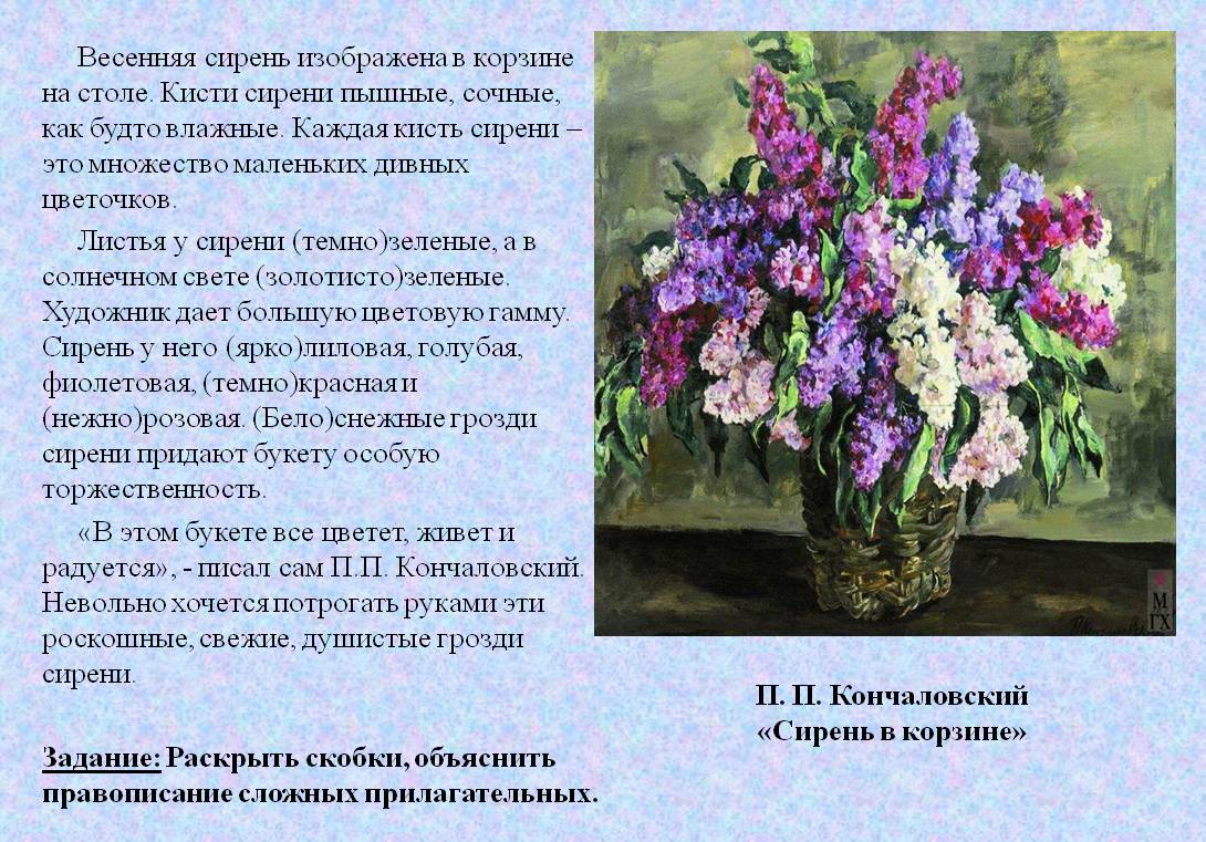 Сочинение по картине сирень в корзине кончаловского 5 класс описание