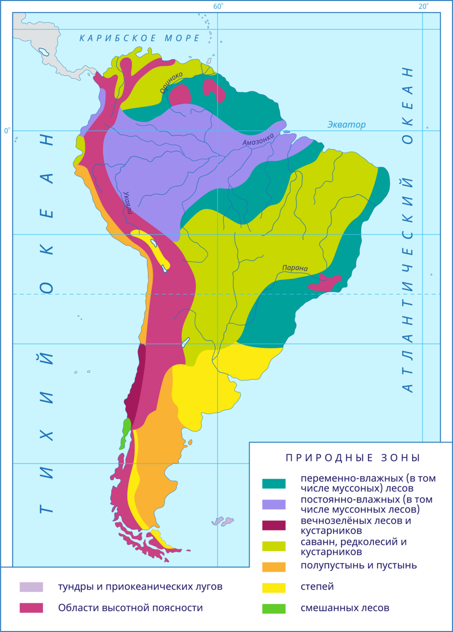 Леса стран южной америки. природные зоны. южная америка — материк влажных тропических лесов