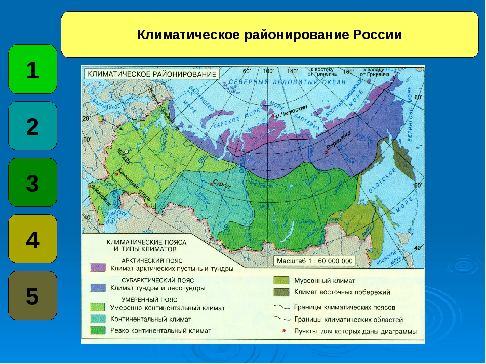 Арктический пояс: особенности климата, температурный режим, природные явления, флора и фауна :: businessman.ru