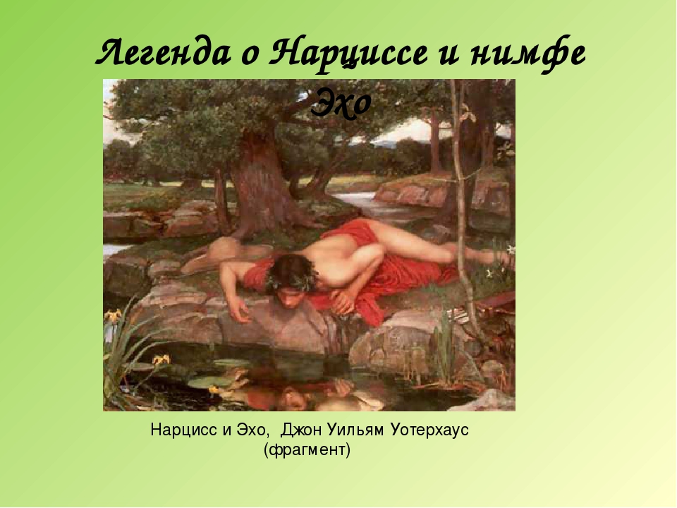 Нарцисс — мифы древней греции