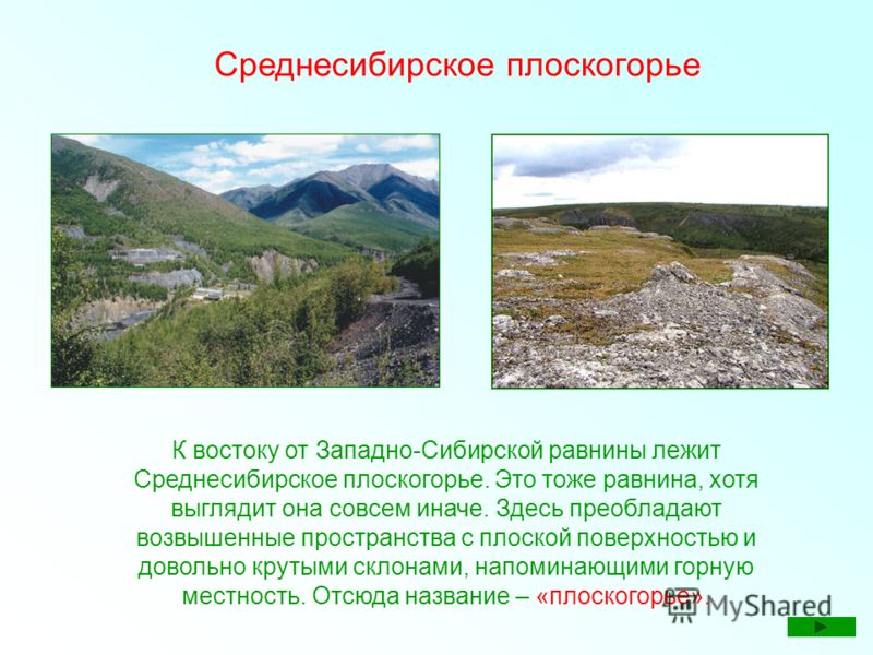 Великие равнины средняя высота и максимальная. Среднесибирское плоскогорье и Сибирское. Среднесибирское плоскогорье плоскогорье. Горы Среднесибирского Плоскогорья.