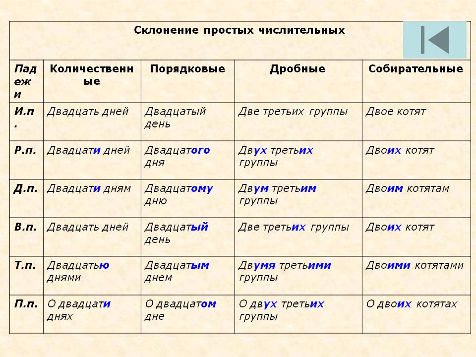 Учимся писать правильно: правила переноса слов в русском языке