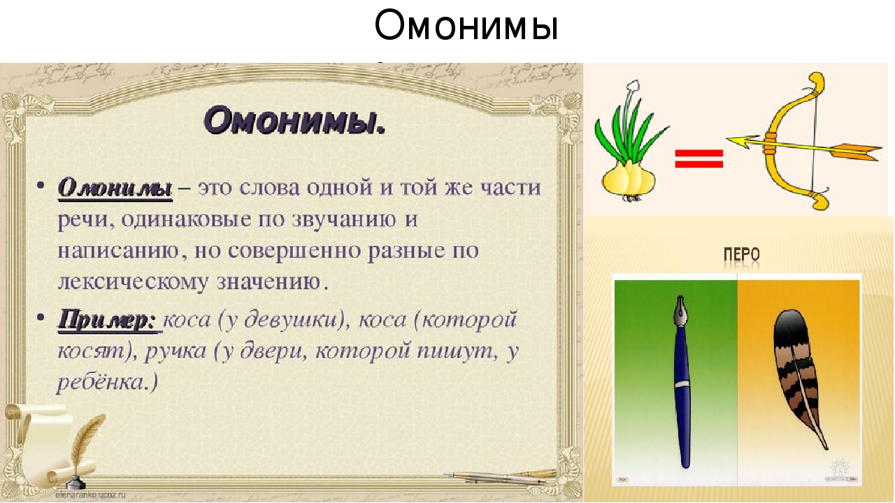 Омонимы это что такое: определение и примеры омонимов